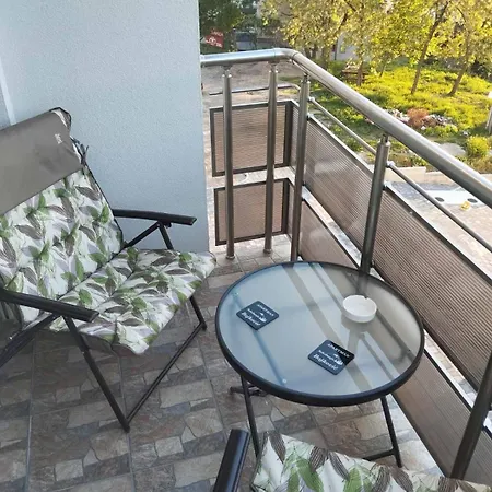 Apartment Bojkovic Soko Banja